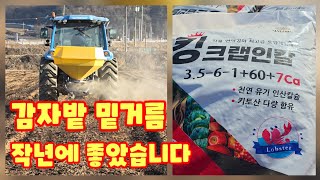 감자밭 밑거름 킹크랩인칼 트랙터 부착 비료 살포기로 살포 괴산감자 수미감자 감물감자 충북 괴산 풀뿌리농장 자…