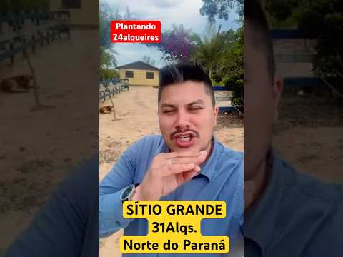 *vendido*Sítio 31 Alqueires em São José da Boa Vista-PR planta em 24 oportunidade R$160Mil o Alqs