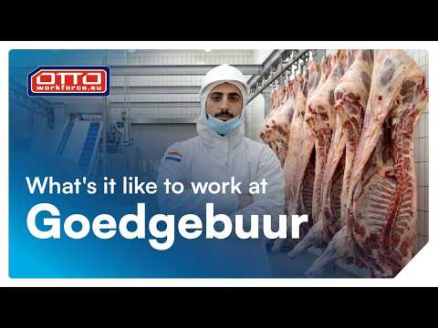 Arbeiten bei Goedegebuur über OTTO Work Force in den Niederlanden