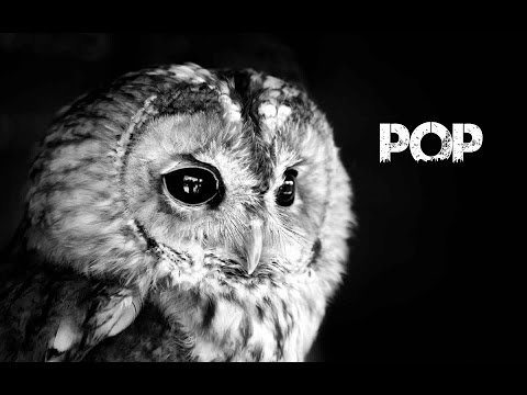 Generdyn & Flex - Life Is Beautiful