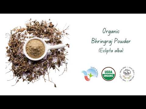 Organic Bhringraj Powder