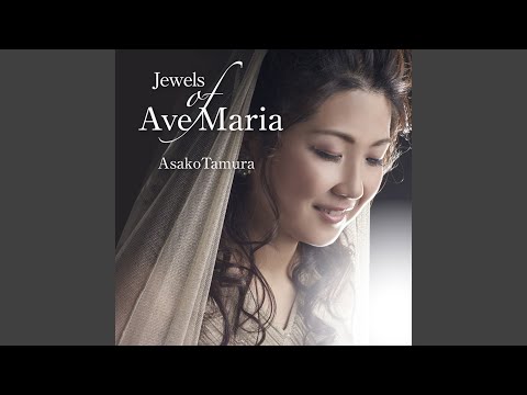 Prowokator: Ave Maria (version for voice and organ)
