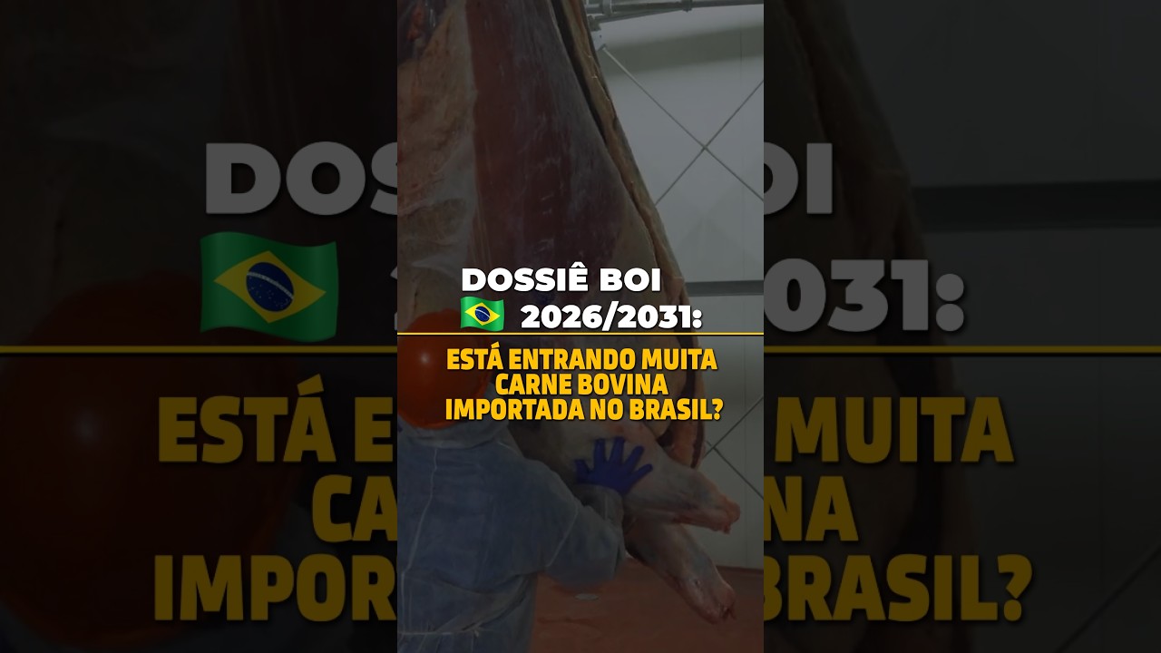 DOSSIÊ BOI BR 2026/2031! ESTÁ ENTRANDO MUITA CARNE BOVINA IMPORTADA NO BRASIL?