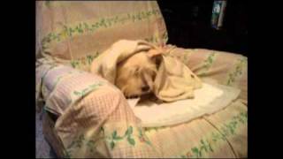 Johann Johannsson the flat