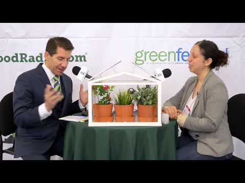 Lorna Montalvo - Local Marketing Manager, IKEA - Green is Good