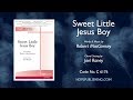 Sweet Little Jesus Boy - Arr. Joel Raney