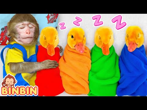 Monkey Binbin Sleeps Well with the Duckling and Rescues Friends from Amazing Maze | MONO BINBIN ESP