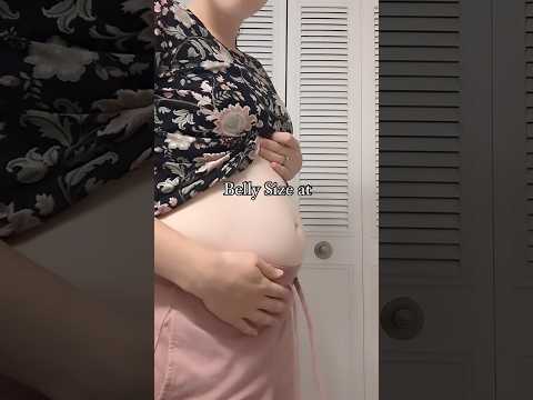 14 weeks pregnant belly