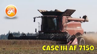 Harvest 2025 | Case IH Axial Flow 7150