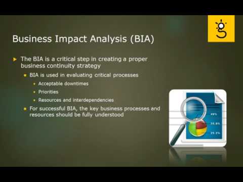 2 Corporate Governance