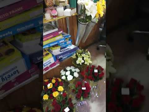 Kusum Flowers Udaipur rajasthan