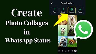 How to Create Photo Collages in WhatsApp Status!