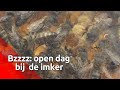 Bzzzzz: open dag bij imkers!