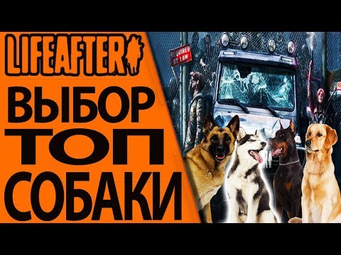 LifeAfter: Night Falls - КАК ВЫБРАТЬ ТОП СОБАКУ?