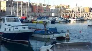 preview picture of video 'Porto di Bisceglie: Suono della sirena delle 8,00 e stridio dei gabbiani'