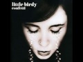 Little Birdy - Into My Arms 