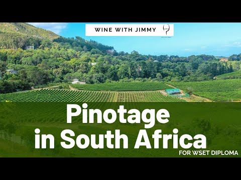 WSET Level 4 D3 South African Pinotage