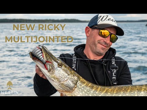 Westin Ricky the Roach Multi Jointed R2F 14cm 41g Real Rudd S