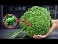 Washing Broccoli with Just Water Is Wrong! Here’s the Right Way!