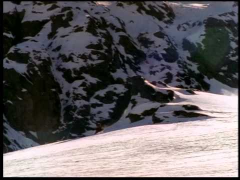 Eric Pehota and Bob Rankin heli skiing in New Zealand by Warren Miller