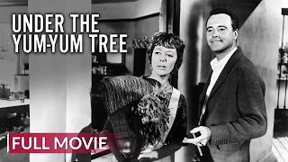 Under the Yum Yum Tree