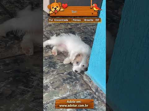 Vídeo de Sol