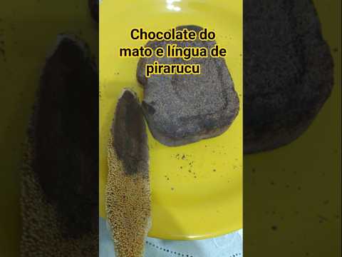 Chocolate do Mato Ralado na Língua de um Peixe Gigante? Tradição Surpreendente da Amazônia!
