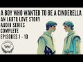 LGBTQ Fairytale Of Love Identity Courage A Boy Who Wanted To Be A Cinderella