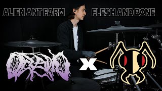 Matt Kohanowski - Alien Ant Farm - Flesh and Bone (Feat. Terry Corso)