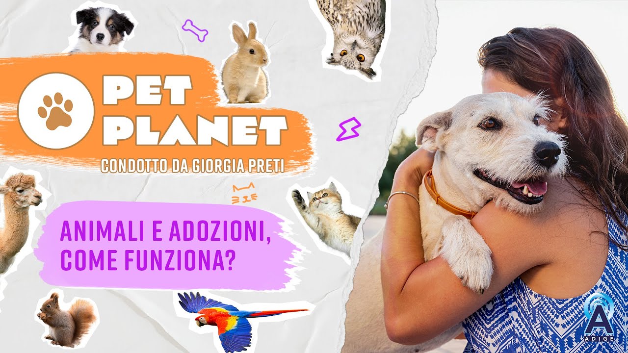 Descrizione dell'immagine