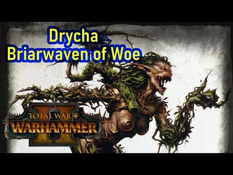 Drycha - Total War Warhammer 2 - Possible Wood Elves Character For The DLC?