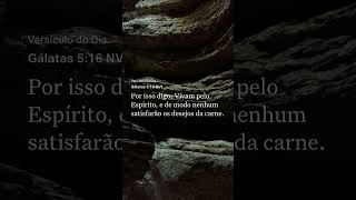 Viva pelo Cristo