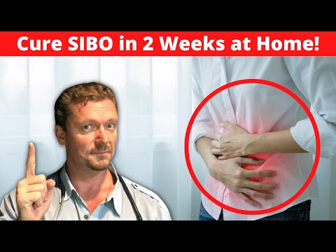 Cure SIBO in 2 weeks! [Bloating & Belly Pain Gone]