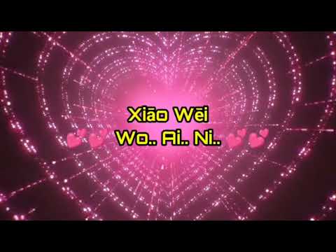 Xiao Wei ( Disco Remix Karaoke Version ) Mandarin song.