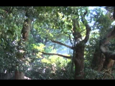 アート・デザイン学科 2011大学基礎No 4 ムービー東亜大学アート・デザイン映画（制作中）