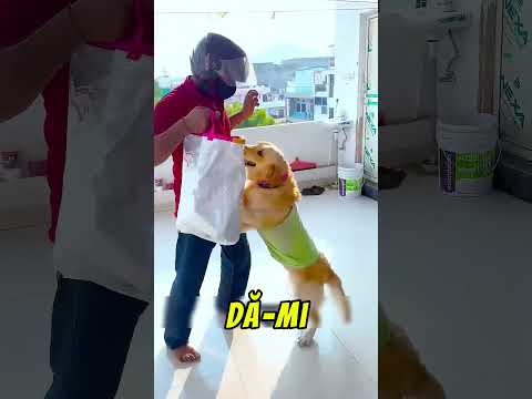 Un Hot Vrea Sa-mi Ia Jucariile 😱