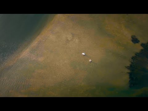 Yugen Blakrok - Niacin (Official Video)