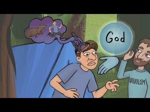 The Evolutionary Argument Against Naturalism