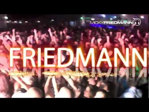 The Sound of Micky Friedmann