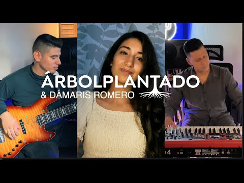 Medley Flamenco jazz | Merece la pena| Cover Árbol Plantado @damarisromeromusic