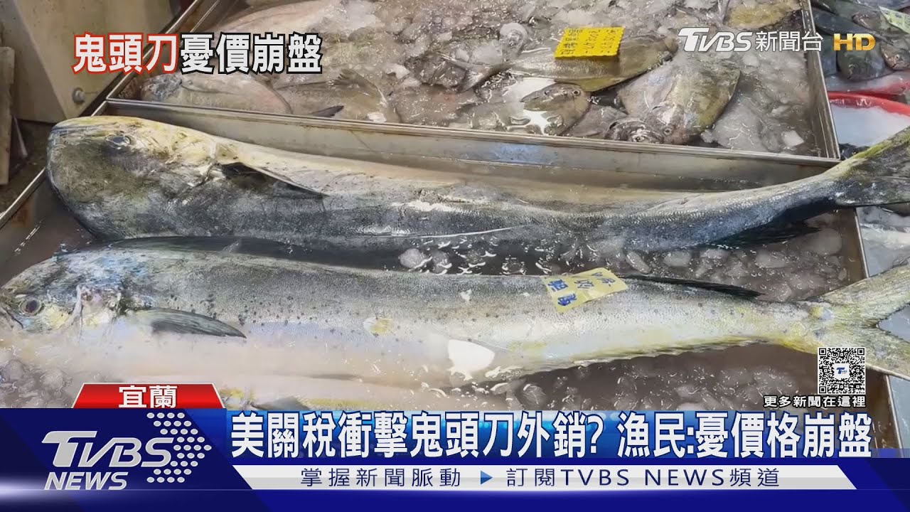 美關稅衝擊鬼頭刀外銷? 漁民:憂價格崩盤