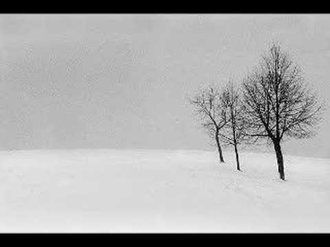 taxigirl - high glow