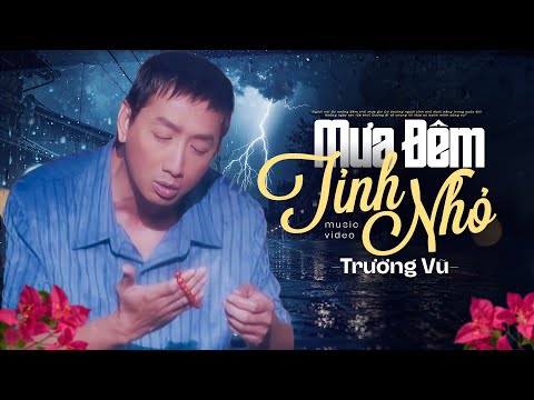 MƯA ĐÊM TỈNH NHỎ - TRƯỜNG VŨ | Nhạc Xưa Bất Hủ Theo Năm Tháng Quá Hay