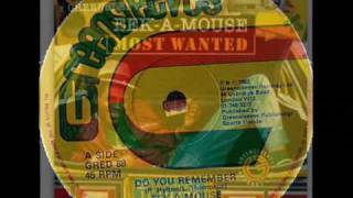 Eek A Mouse 12" Do You Remember Ext. Play Gred 88 Reggae Dubwise Selecta