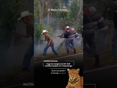 Fogo às margens da MT-248 mobiliza equipes em Araputanga