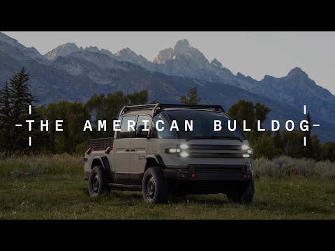 The American Bulldog