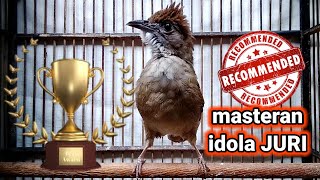 Download lagu Masteran burung KAPAS TEMBAK GACOR materi IDOLA JURI NASIONAL mp3 Download lagu Masteran burung KAPAS TEMBAK GACOR materi IDOLA JURI NASIONAL mp3