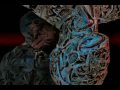 The Legendary Pink Dots - Geisha Mermaid