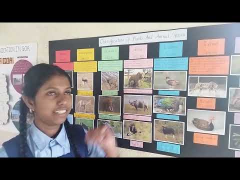 classification of plants and animals std X