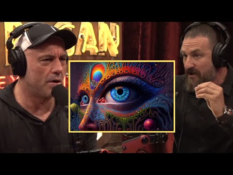 Andrew Hubermans Experience With MDMA & Psychedelics | Joe Rogan